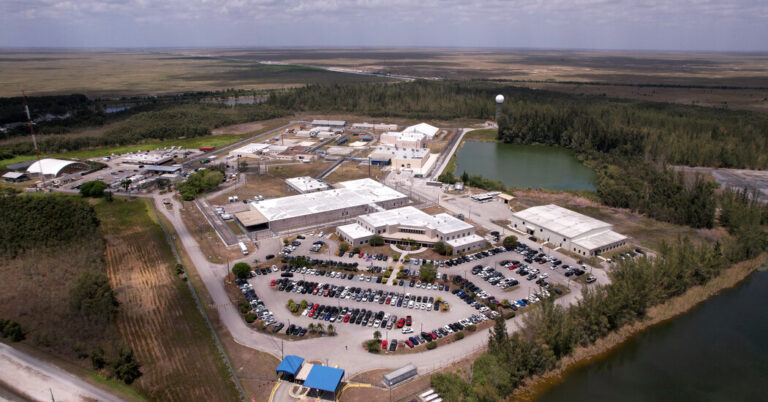 ICE Operation in Florida This Month Resulted in More Than 1,000 Arrests