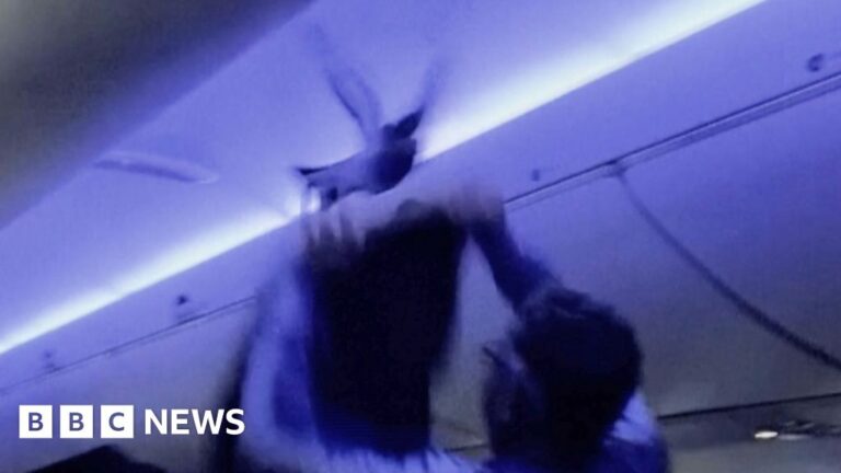 Loose pigeons cause havoc on plane before take-off