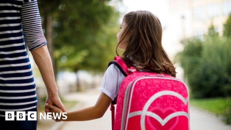 Northern Ireland Childcare Subsidy Scheme to be extended to primary school