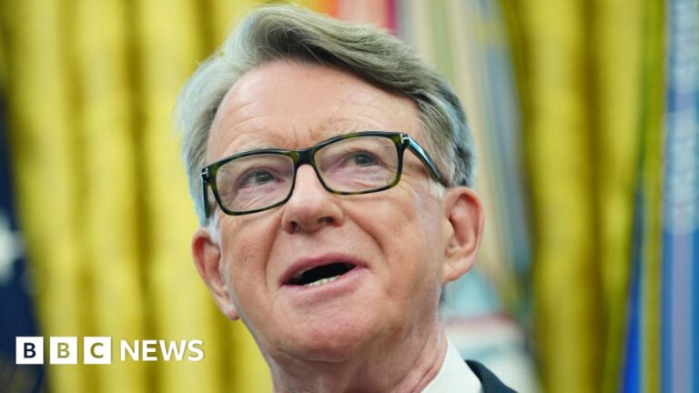 UK-US trade deal ‘platform for going further’, Mandelson says