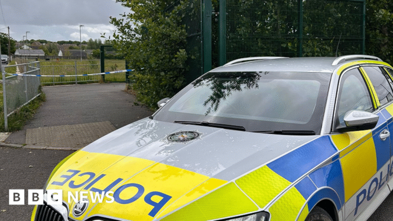 Londonderry security alert which closed school declared a hoax