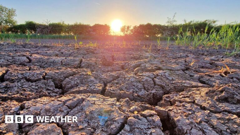 UK weather: Spring may become driest on record with no rain in sight