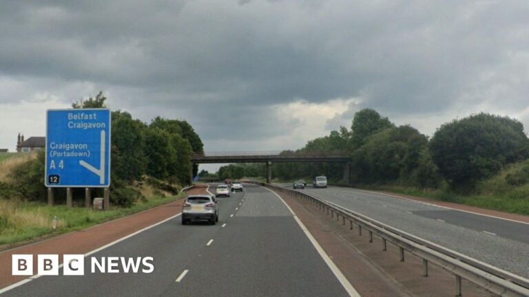 M1 closed both ways after overturned livestock lorry