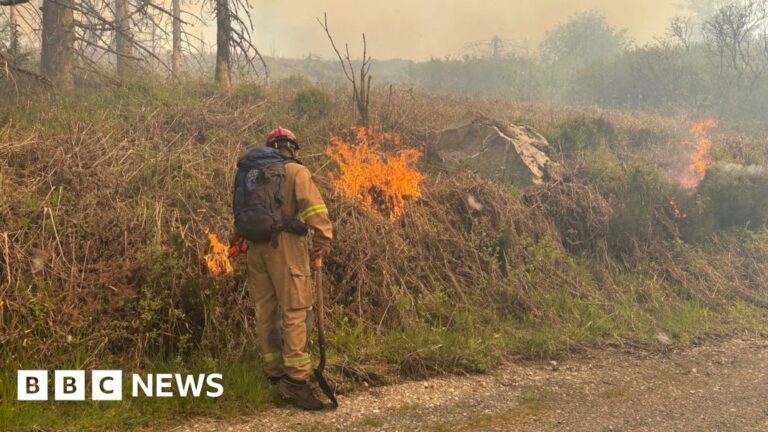 Wildfires warning for Northern Ireland after Slieve Beagh damage