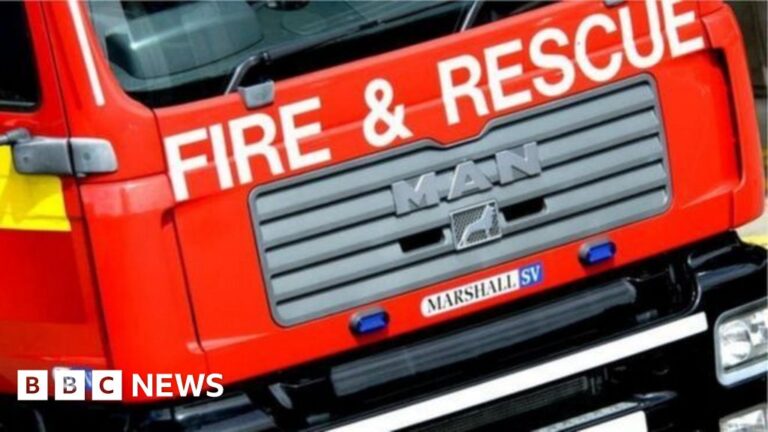 Man and dog escape through window after arson attack