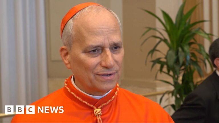 Watch 2023 interview with Pope Leo after Pope Francis chose him as prefect