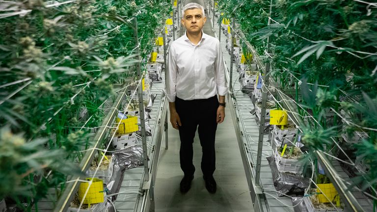 Sadiq Khan says some cannabis possession should be decriminalised | Politics News