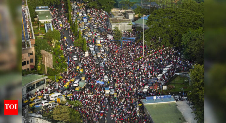 Watch: Fans climb trees and buses to witness RCB’s IPL victory | Cricket News