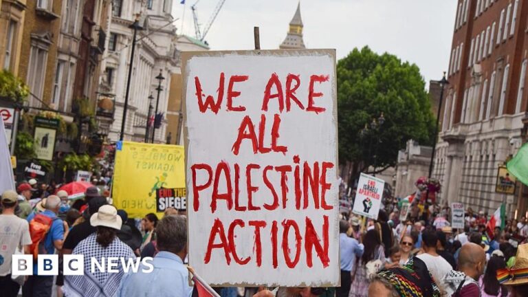 Met Police chief ‘shocked’ by planned Palestine Action protest in London