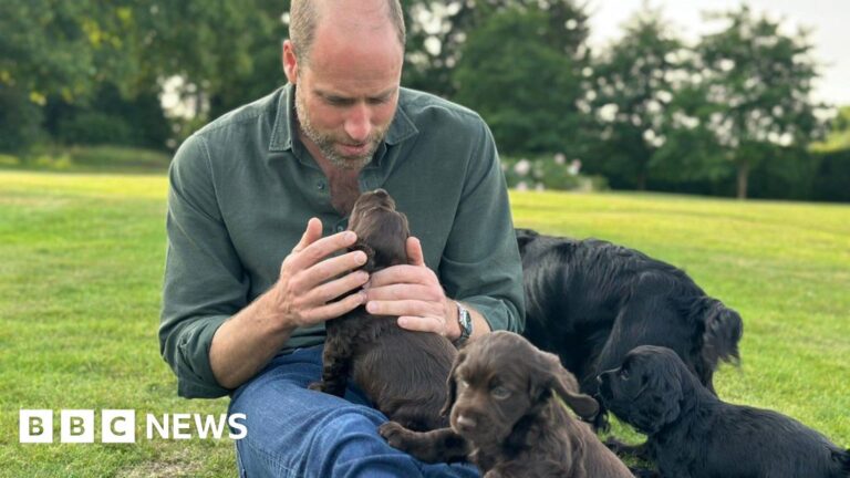 Prince William celebrates 43rd birthday with puppy photo