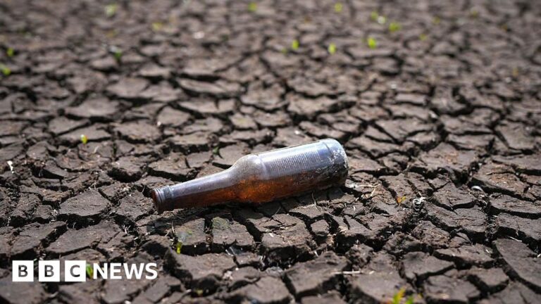 Thunderstorm warnings in place as Yorkshire in drought
