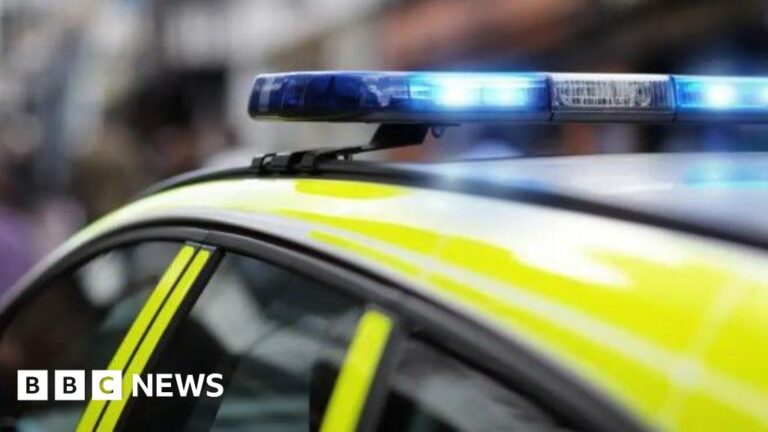 Man jailed for deliberately ramming police vehicle