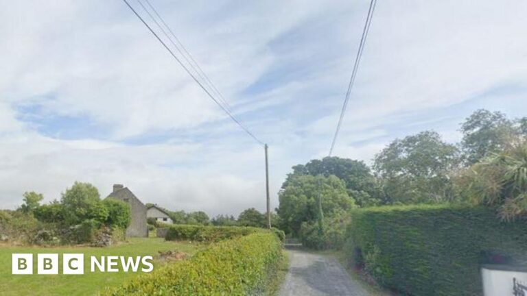 Two men arrested after machete attack