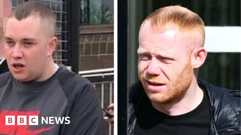 Two men found guilty over Waringstown murder