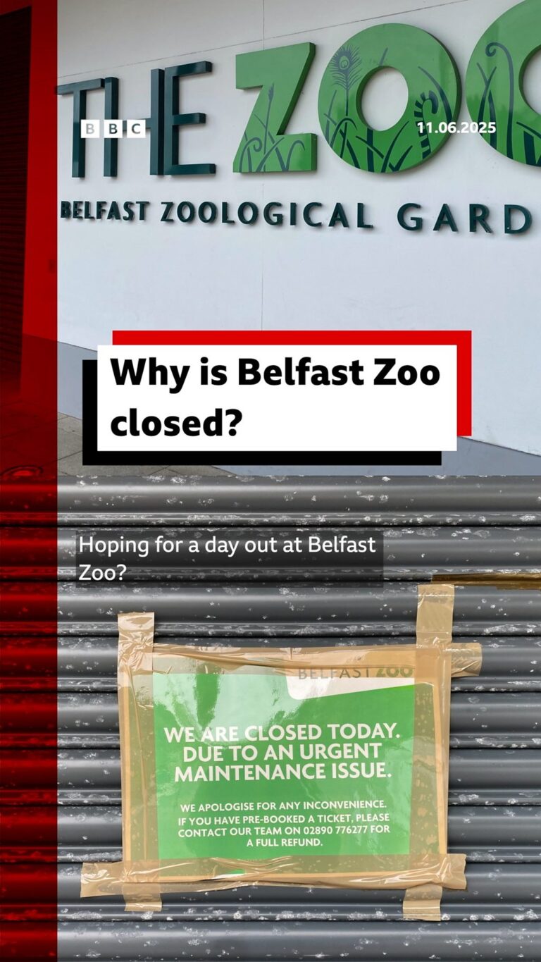 Why is Belfast Zoo closed for a second day?