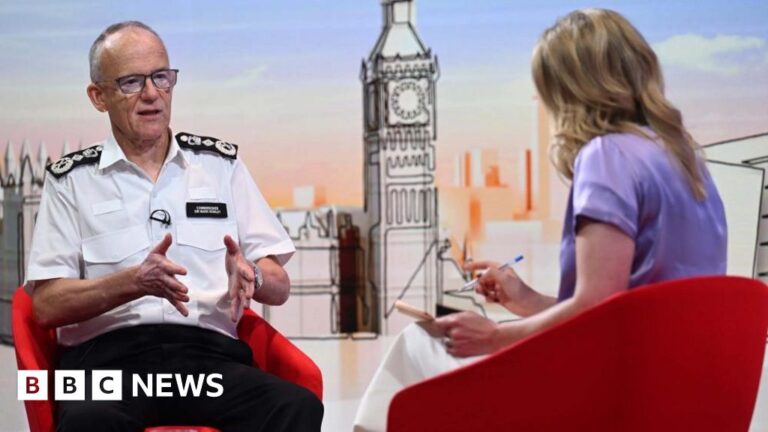 Football clubs should pay towards £70m policing cost, Met chief says