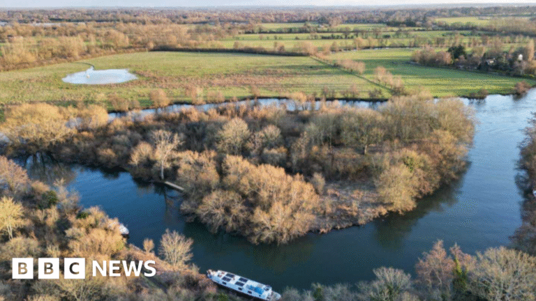 Auctioneer says £100k River Thames island may be leisure retreat
