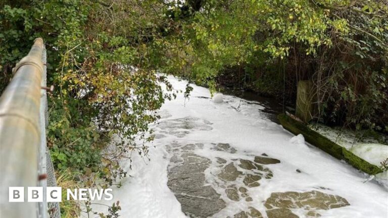 Environment Agency investigates foam on River Gipping, Suffolk