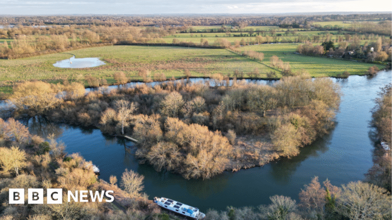 Private island Hallsmead Ait in River Thames sold for £99,470