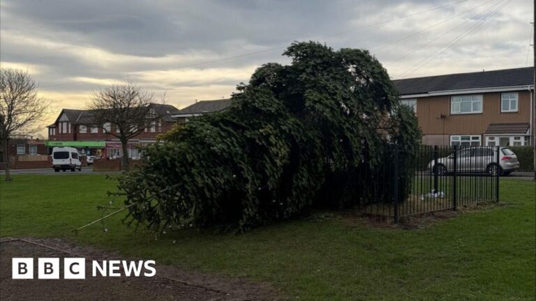 Shotton Colliery Christmas tree cut down after lights switch-on