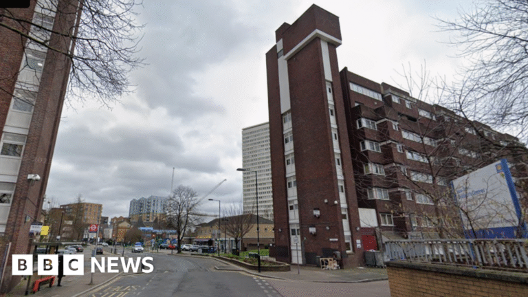 Man, 23, stabbed to death in Deptford