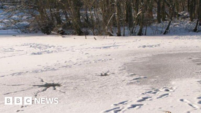 Storm Goretti snow to close Shropshire schools