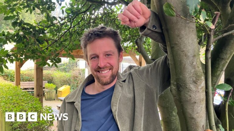 The man turning Cornwall’s storm-damaged trees into art