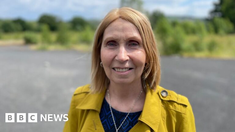 Irish-language activist from Belfast appointed to advise Irish president