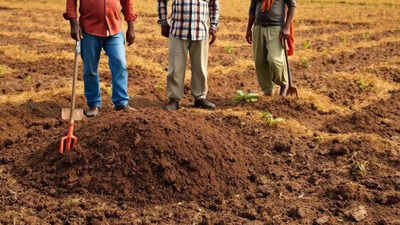 Man Buried Alive Raipur: ‘Stalker’ buried alive by woman’s boyfriend and aides; 2 juveniles detained, 3 arrested | Raipur News